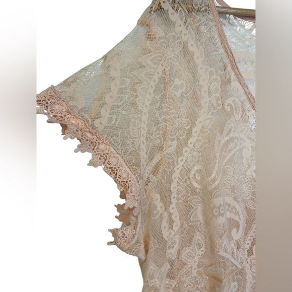 Torrid Sheer Lace Maxi Dress 3X-4X Pink Vintage Victorian Romantic Bridal Fairy - Picture 8 of 10